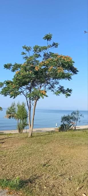 Pomegranate Seaside Corner Villa Fanarion ภายนอก รูปภาพ