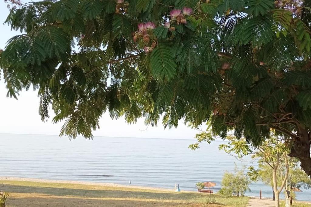 Pomegranate Seaside Corner Villa Fanarion ภายนอก รูปภาพ